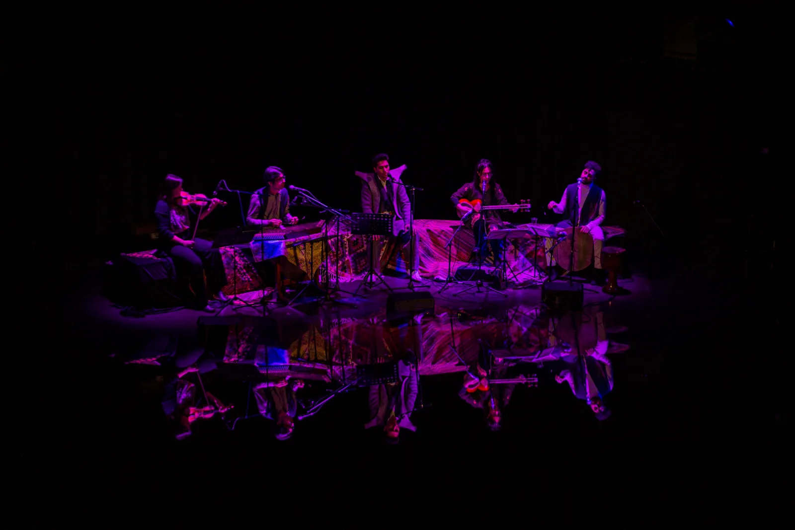 Fardin Abbasi — musician photograph 2