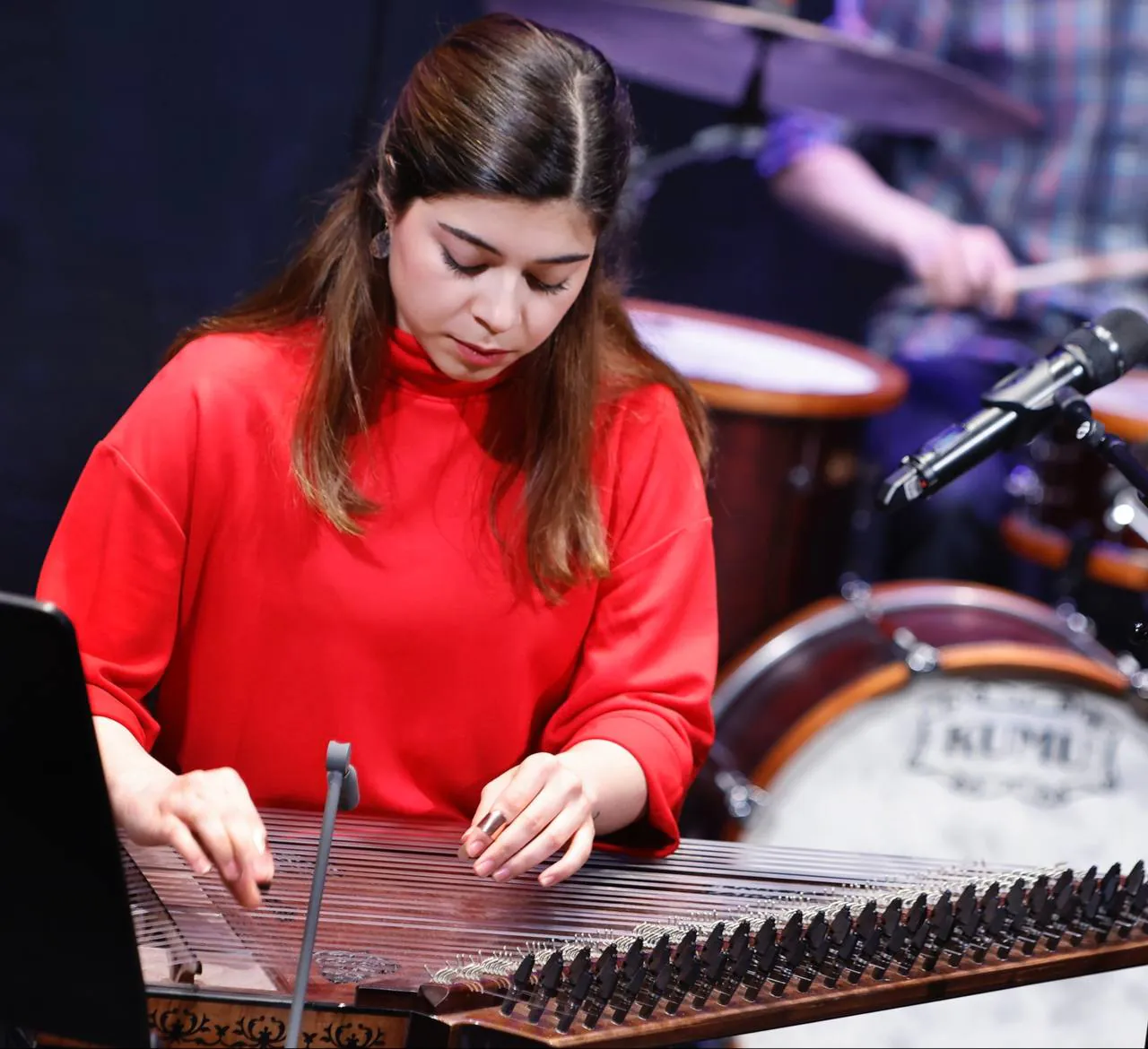 Sara Majidinejad performing Qanun in concert.